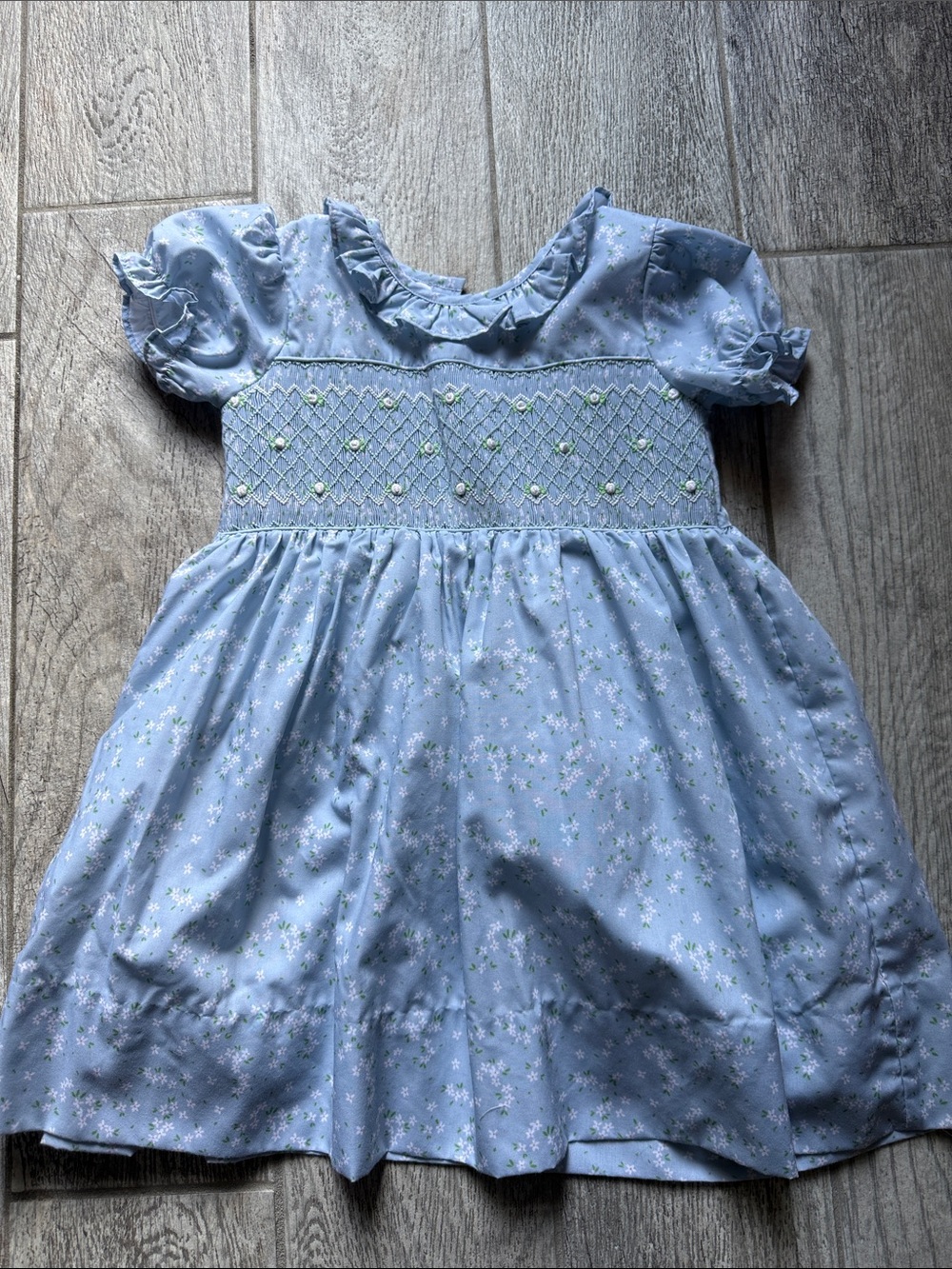 EUC-Eliza James kids-Girls' Light Blue Smocked Floral Dress